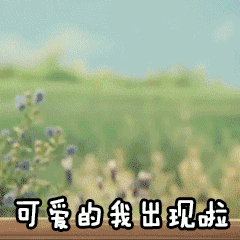 可爱的我出现啦