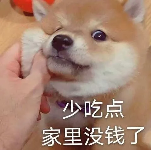 少吃点家里没钱了（少吃点家里没钱了）