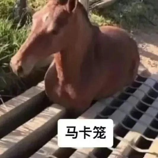 马卡笼（马卡笼）