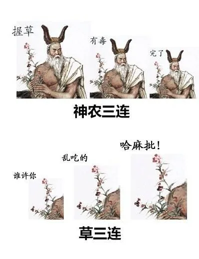 神农三连：握草 有毒 完了 草三连：谁许你 乱吃的 哈麻批！