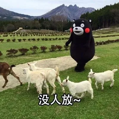 没人放