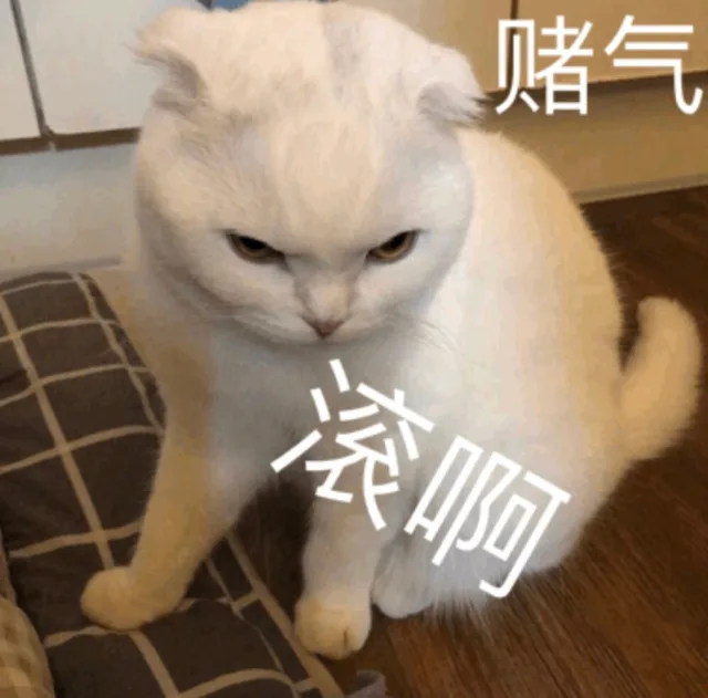 赌气 滚啊