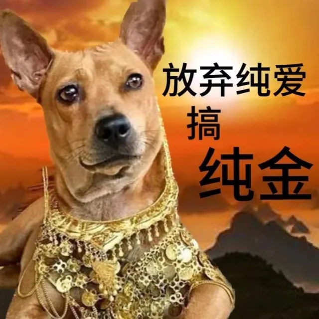 放弃纯爱搞纯金（放弃纯爱搞纯金）