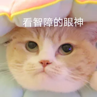 看智障的眼神