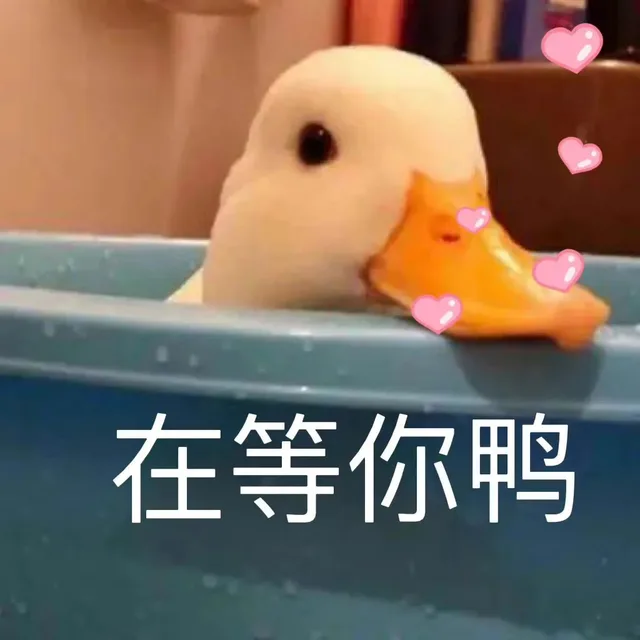 在等你鸭（在等你鸭）