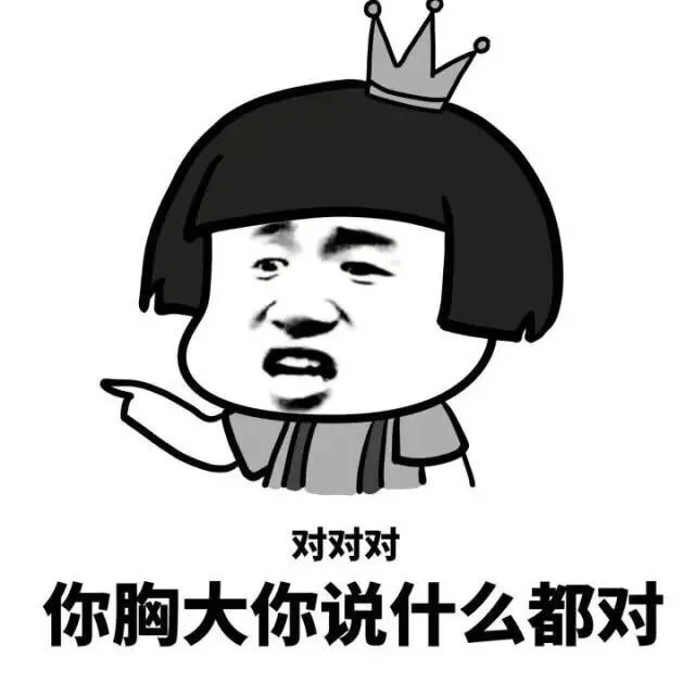 对对对 你胸大说什么都对