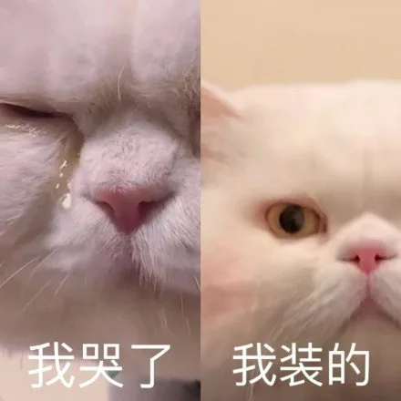 我哭了我装的