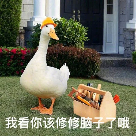 我看你该修修脑子了哦（我看你该修修脑子了哦）