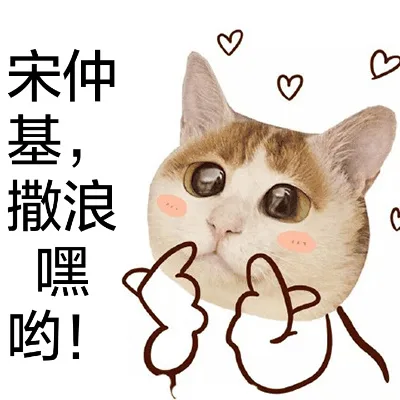 宋仲基，撒浪嘿哟