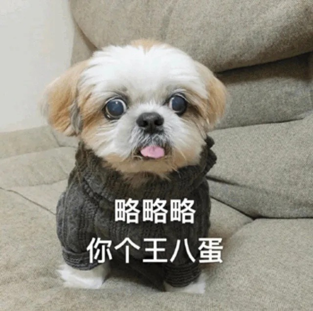 略略略，你个王八蛋（略略略，你个王八蛋）