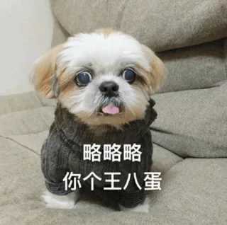 略略略，你个王八蛋