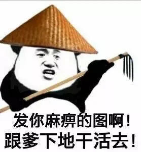 发你麻痹的图啊！跟爹下地干活去！