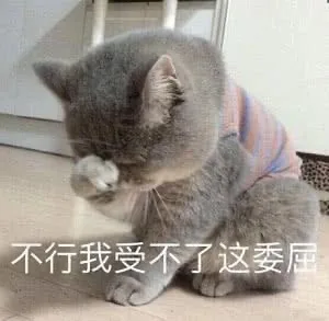 不行我受不了这委屈（不行我受不了这委屈）
