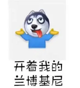 开着我的兰博基尼