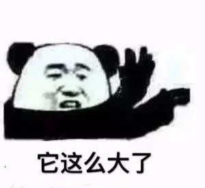 它这么大了（它这么大了）