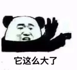 它这么大了