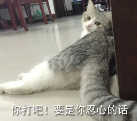 你打吧！要是你忍心的话（你打吧！要是你忍心的话）