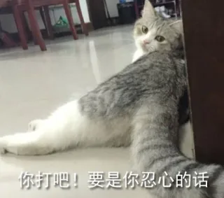 你打吧！要是你忍心的话