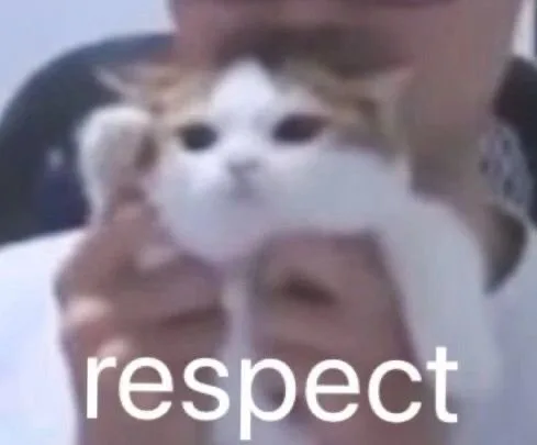 respect（respect）