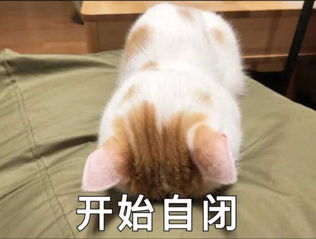 开始自闭