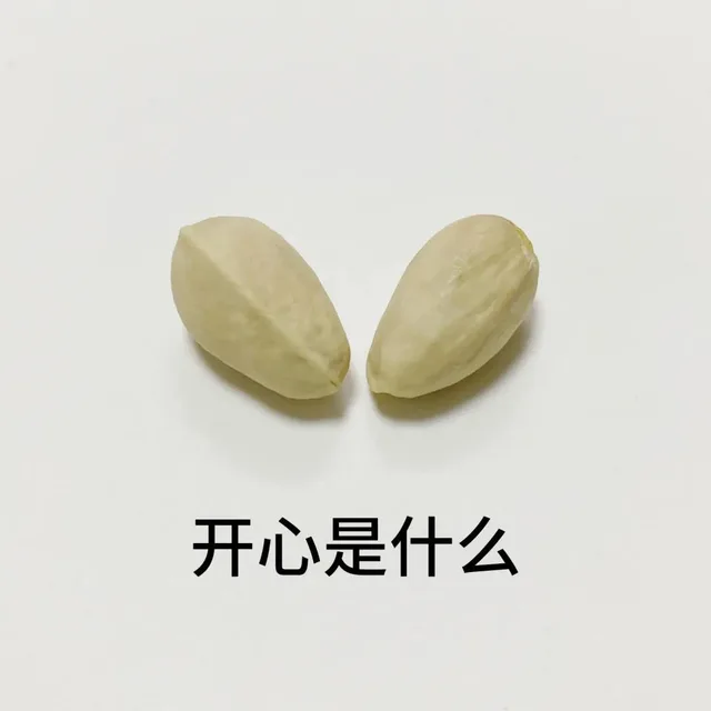 开心是什么