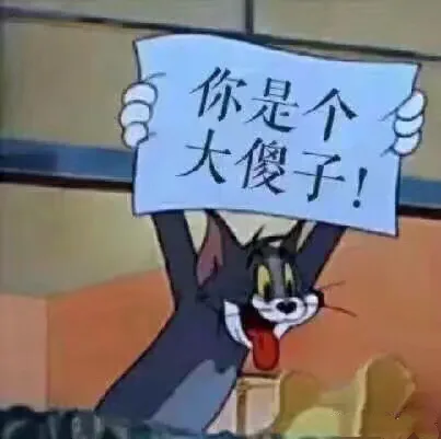 你是个大傻子