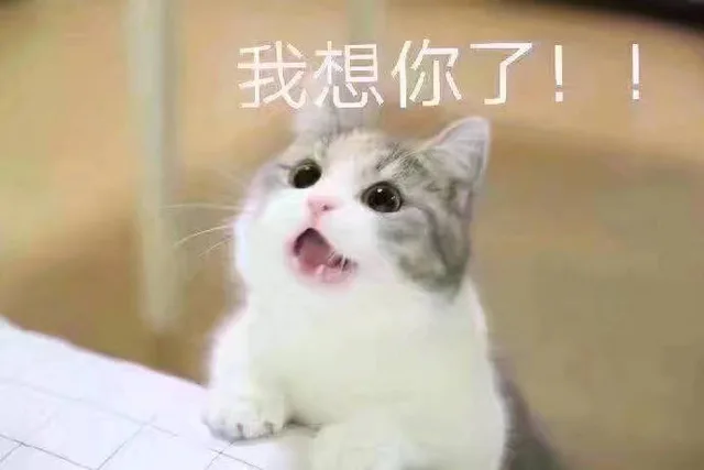 我想你了