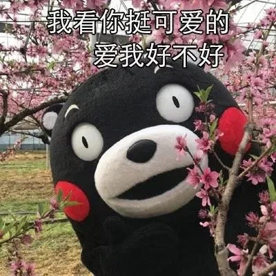 一我看你挺可爱的爱我好不好