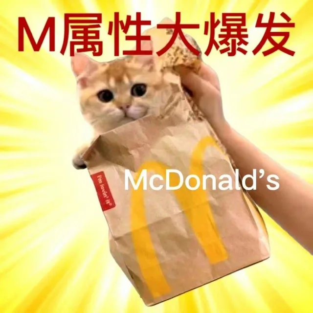 M属性大爆发I'm lovin'itMcDonald's（M属性大爆发I'm lovin'itMcDonald's）