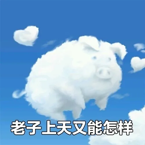 老子上天又能怎样