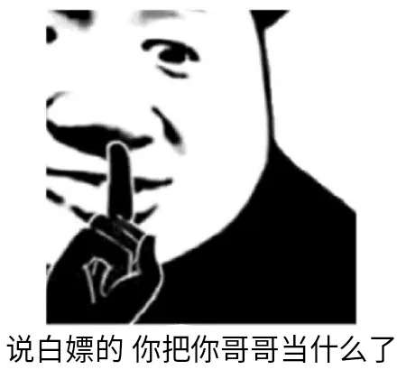 说白嫖的你把你哥哥当什么了（说白嫖的你把你哥哥当什么了）