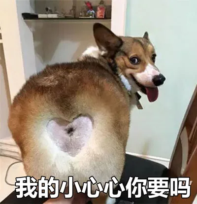 我的小心心你要吗（我的小心心你要吗）