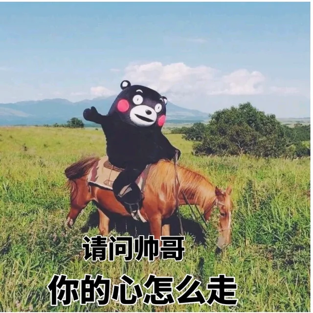 请问帅哥，你的心怎么走？