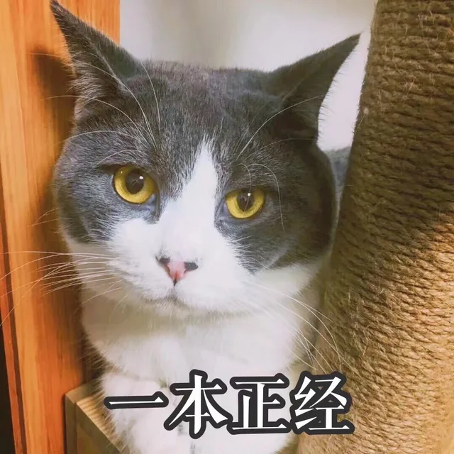 本正经（本正经）