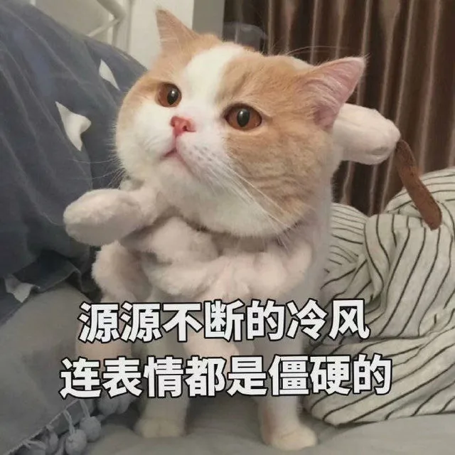 源源不断的冷风连表情都是僵硬的