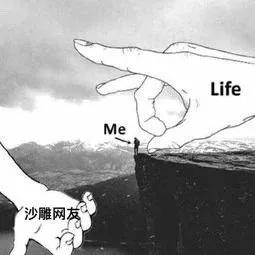 沙雕网友救了我