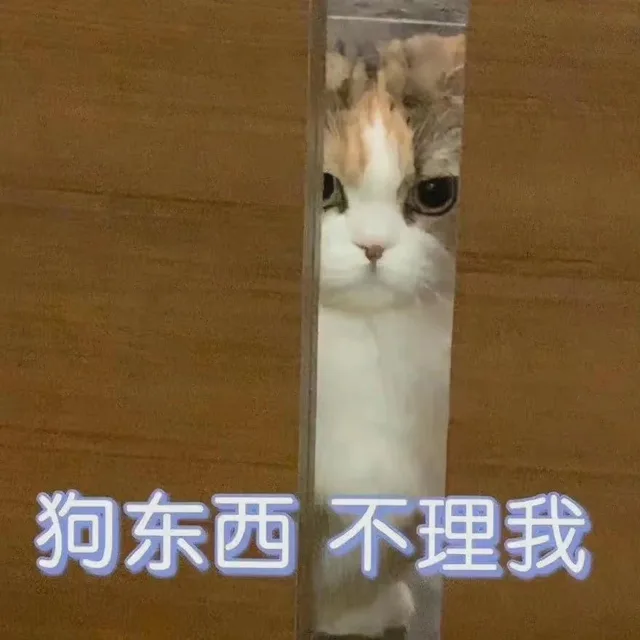 狗东西不理我（狗东西不理我）