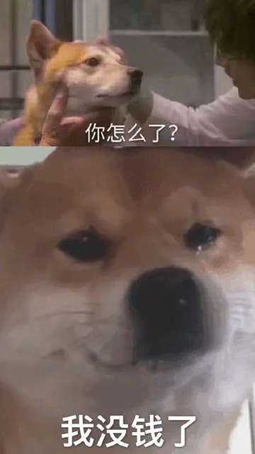 你怎么了？我没钱了（你怎么了？我没钱了）