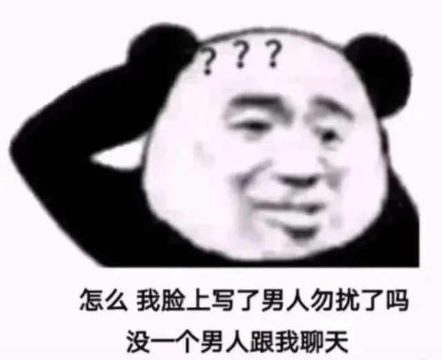 怎么我脸上写了男人勿扰了吗没一个男人跟我聊天(熊猫头表情包)