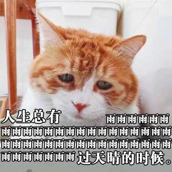 你可闭闭闭嘴吧 _喵星人