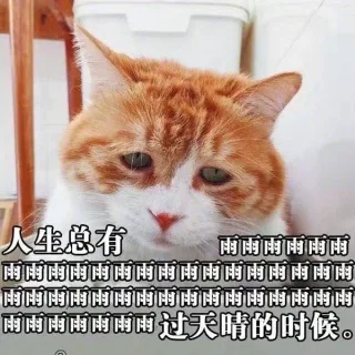 你可闭闭闭嘴吧 _喵星人