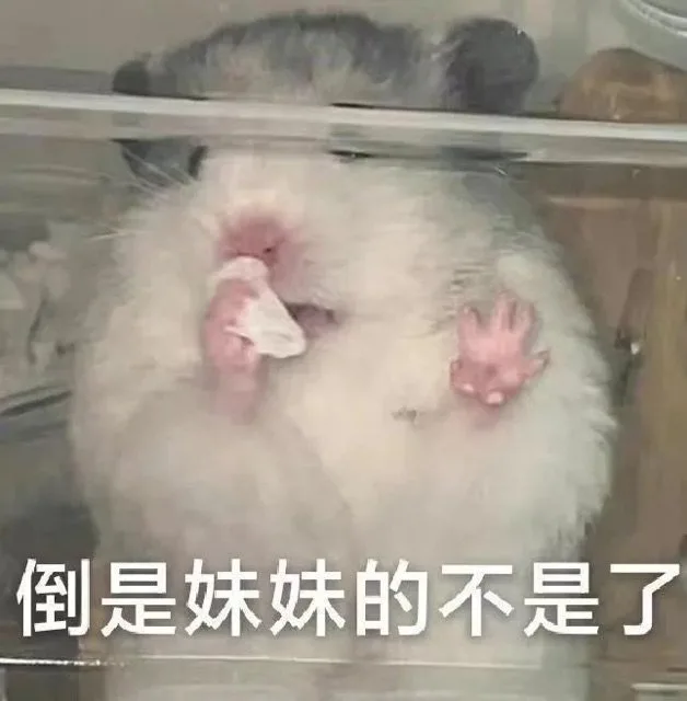 倒是妹妹的不是了（倒是妹妹的不是了）