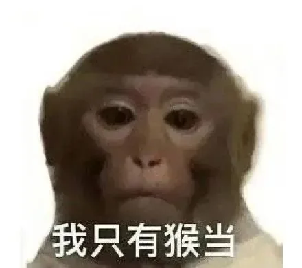 我只有猴当（我只有猴当）