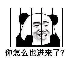 你怎么也进来了