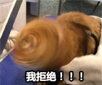 我拒绝！！！