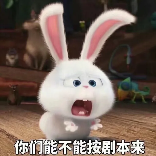 你们能不能按剧本来