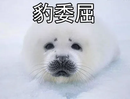 豹委屈