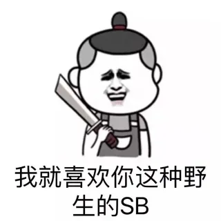我就喜欢你这种野生SB