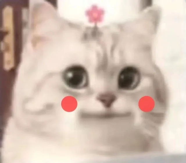 微笑小猫表情包 可爱