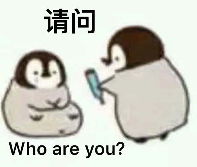 请问Who are you ?